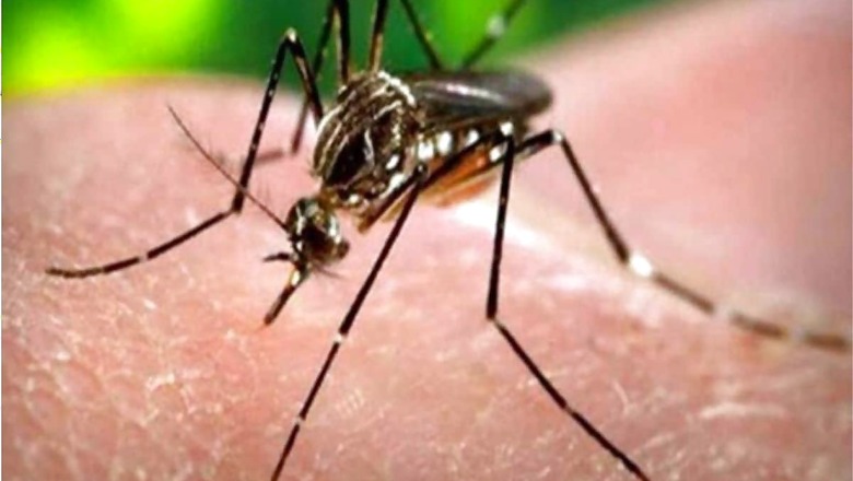 Zika Spreads Its Wings in Kerala as 5 More Test Positive, Cases Rise to 28