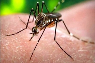 Zika Spreads Its Wings in Kerala as 5 More Test Positive, Cases Rise to 28