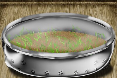 How to Raise Tadpoles