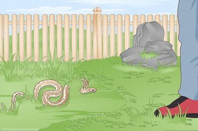 How to Trap a Snake