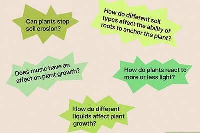 How to Create a Science Fair Project