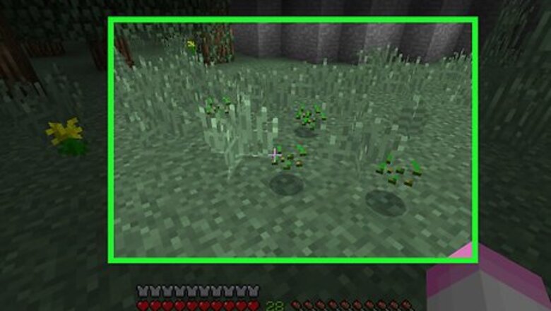 How to Farm Crops in Minecraft
