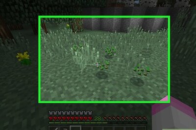 How to Farm Crops in Minecraft