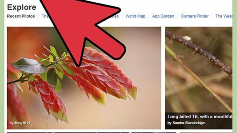 How to Add an Image to a Blog