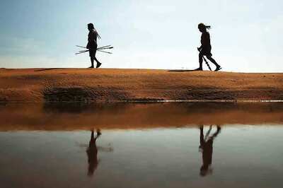 Brazil Investigates Alleged Tribal Massacre in Amazon