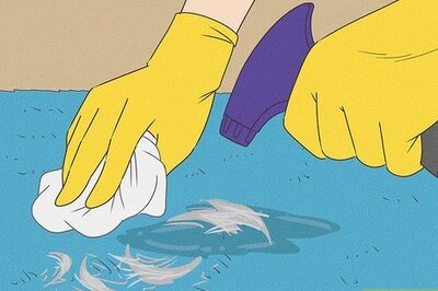 How to Remove Cat Hairball Stains from Carpet