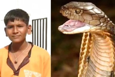 15-Year-Old Karnataka Boy Survives Despite 15 Snake Bites