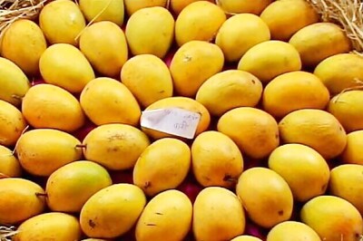 Alphonso mango ban: EU team visiting India in September