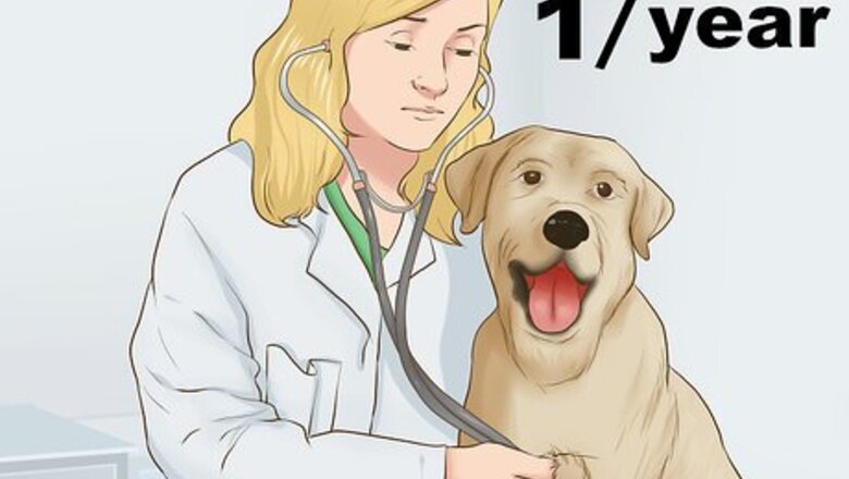 How to Provide Preventive Veterinary Care for Your Dog
