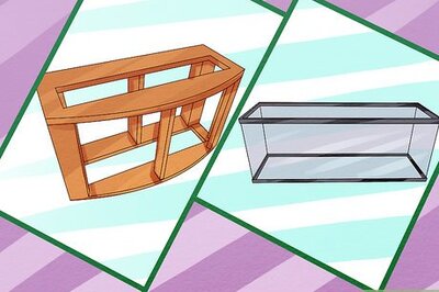 How to Keep Saltwater Fish Without Doing Water Changes