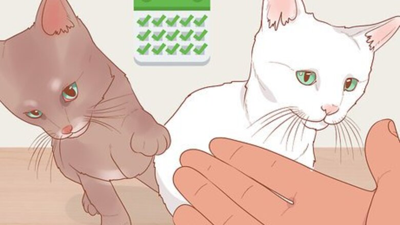 How to Be Nice to Your Pets