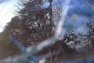 Uttarakhand: One More Injured in Chilla Accident Dies, Toll Rises to 6