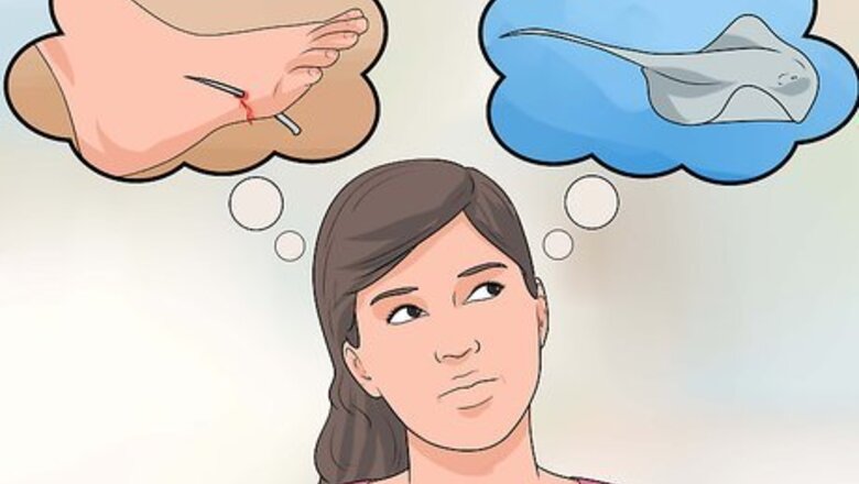 How to Swim With Stingrays