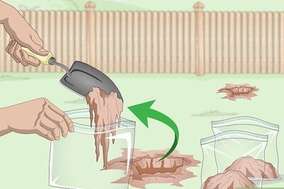 How to Reseed a Lawn with Weeds