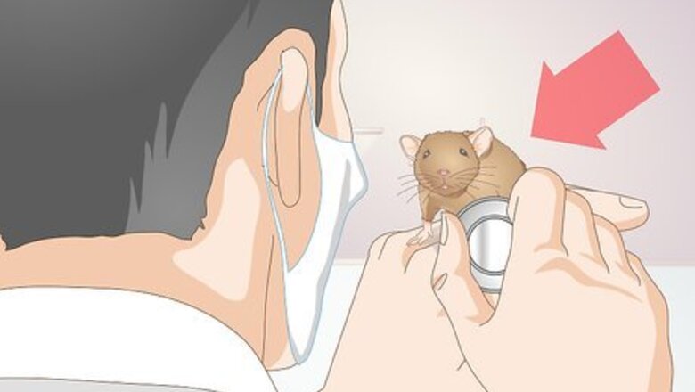 How to Help a Gerbil Recover After Stroke