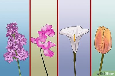 How to Choose Flowers for a Spring Wedding