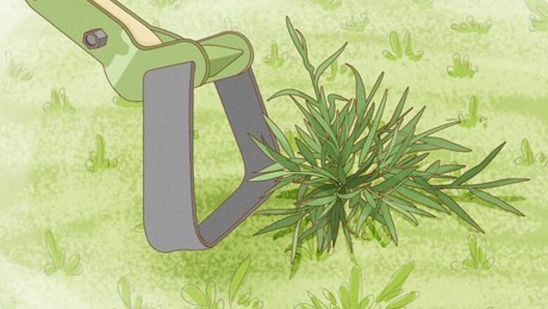 How to Pull Weeds Fast