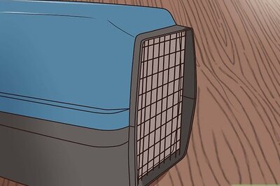 How to Transport a Rabbit