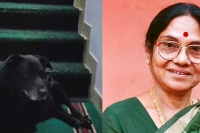 After Actress Leelavathi’s Demise, Her Pet Dog Blacky Spotted Sitting Alone; Photo Viral