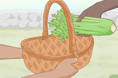 How to Grow Celery Indoors