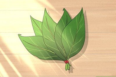 How to Press, Dry, & Preserve Leaves