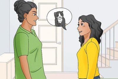 How to Convince Your Parents to Let You Get a Cat (Teens)