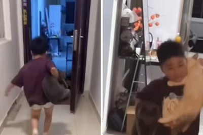 ‘Hero Without Shoes’: Video Of Little Boy Rescuing His Cats During Earthquake Is Winning Hearts