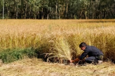 What Are The Different Types of Land-use in India? Learn in Classes With News18