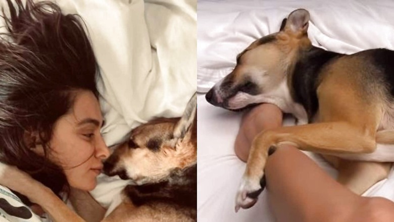 Shibani Dandekar's Weekend is All About Resting and Cuddling With Her Pet Tyson Akhtar