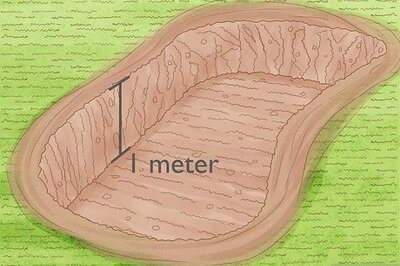 How to Make a Bog Garden