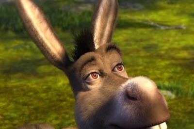 US Donkey That Inspired ‘Shrek’ Gets Rs 8 Lakh Government Grant
