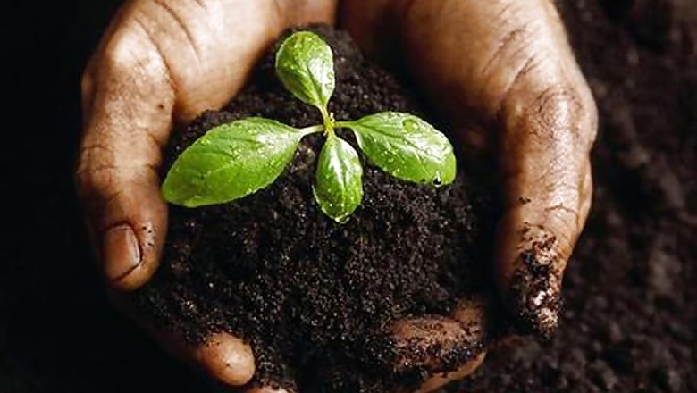 Sikh-Americans Pledge to Plant 100 Forests in India to Combat Climate Change