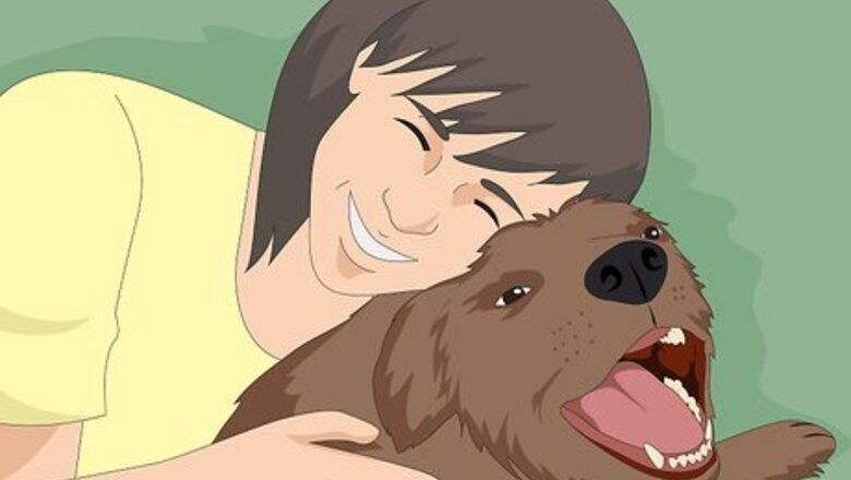 How to Name a Pet