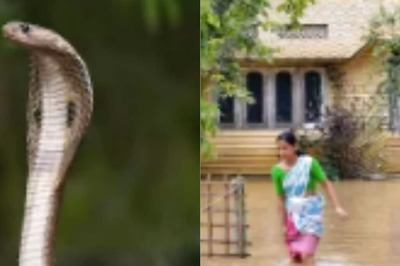 In Karnataka's Kumta, Snake Catcher Saves Family From 5-foot Cobra