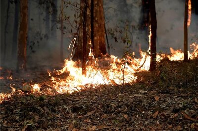 Australia to Lose Billions as Monster Bushfires Deter Tourists, Bookings Fall Nearly 20%