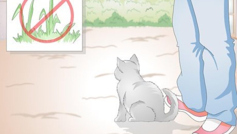 How to Stop Your Cat from Eating Grass