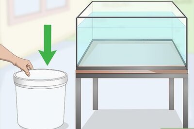How to Siphon Water