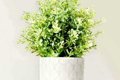 Tips To Incorporate Vibrant Spring Hues In Home Interiors