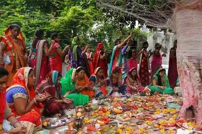 Vat Savitri 2024: Why Women Worship The Banyan Tree On This Day