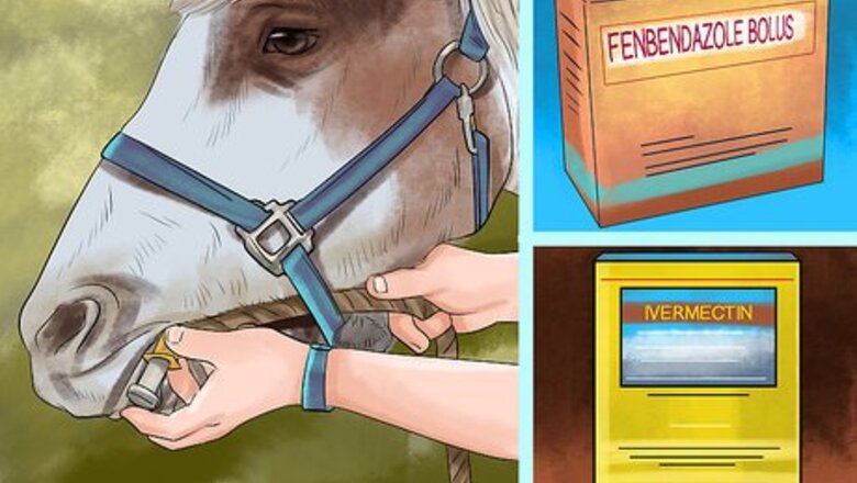 How to Prevent Parasites in Horses