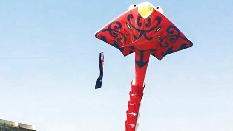 Delhi Youth Dies After Neck Gets Sliced By Kite String