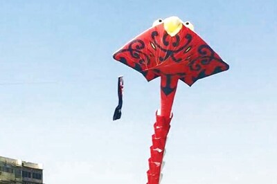 Delhi Youth Dies After Neck Gets Sliced By Kite String