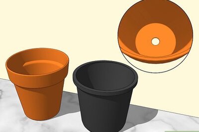 How to Design a Successful Indoor Garden