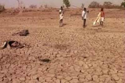 20 Uttar Pradesh districts declared drought-hit