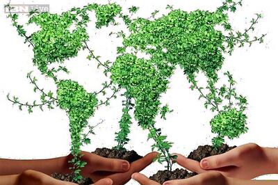 Bioeconomy and policy agendas in the North and the South