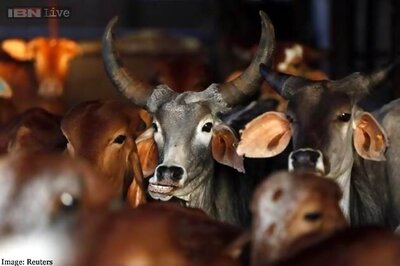 3 lynched on charge of cattle theft in Jharkhand