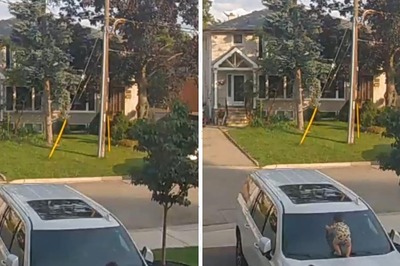 Mom’s Brave Act Saves Toddler From Falling Off Car’s Roof, Internet Lauds Her Action
