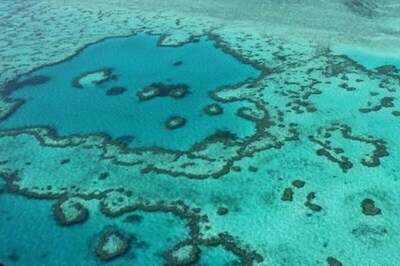 Great Barrier Reef Now on UNESCO's Endangered Heritage List: Damage, Cost and All FAQ Answered
