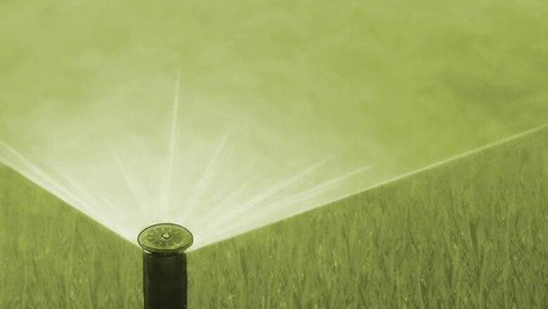 How to Kill Sod Webworms