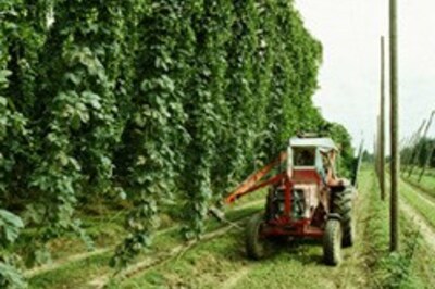 Agri credit rate reduced by 3 per cent